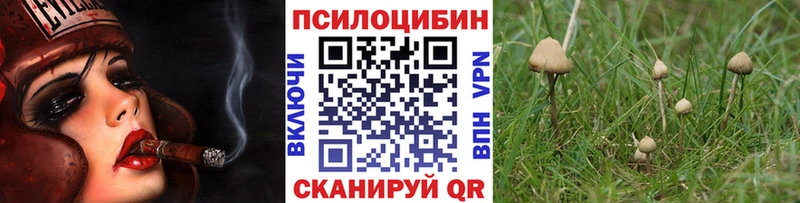 наркотики  Мариинский Посад  Галлюциногенные грибы Magic Shrooms 